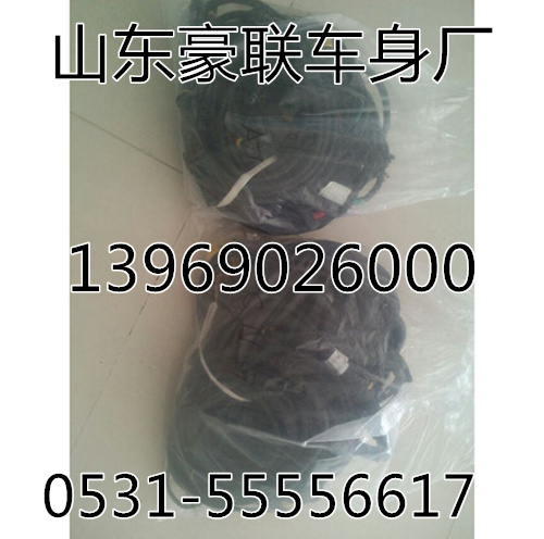 ,重汽天然气发动机线束,山东豪联车身制造厂