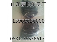 ,重汽天然气发动机线束,山东豪联车身制造厂