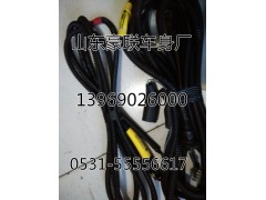,线束,山东豪联车身制造厂