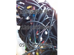 ,线束,山东豪联车身制造厂
