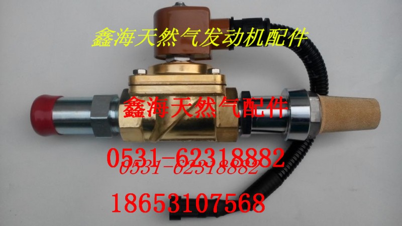 612600191730,喘振阀,济南鑫海天然气配件有限公司