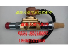 612600191730,喘振阀,济南鑫海天然气配件有限公司