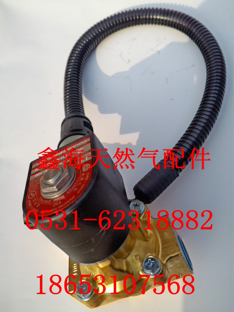 612600190336,电磁阀,济南鑫海天然气配件有限公司