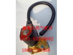612600190336,电磁阀,济南鑫海天然气配件有限公司