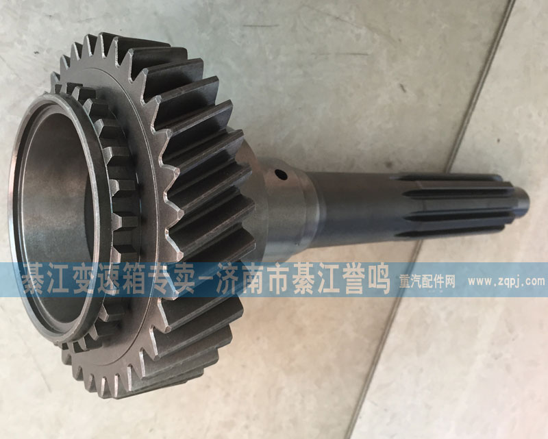2159302059,一轴,綦江变速箱专卖-济南市綦江誉鸣汽配商行