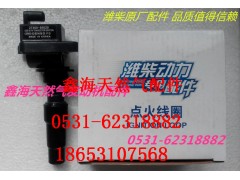 13034189,潍柴原厂点火线圈,济南鑫海天然气配件有限公司