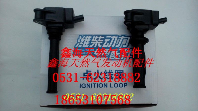 612600190445,进口点火线圈,济南鑫海天然气配件有限公司