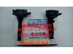612600190445,进口点火线圈,济南鑫海天然气配件有限公司