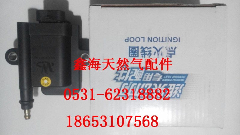 612600191524,进口点火线圈,济南鑫海天然气配件有限公司