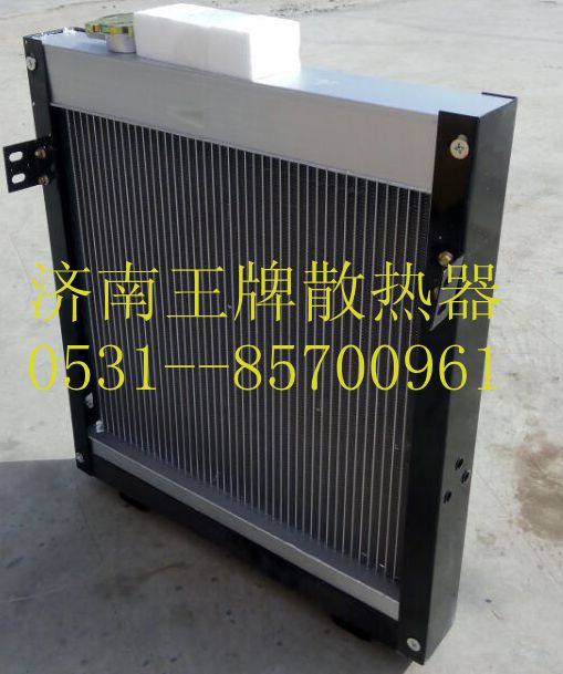 3500--2,散热器,济南王牌散热器有限公司