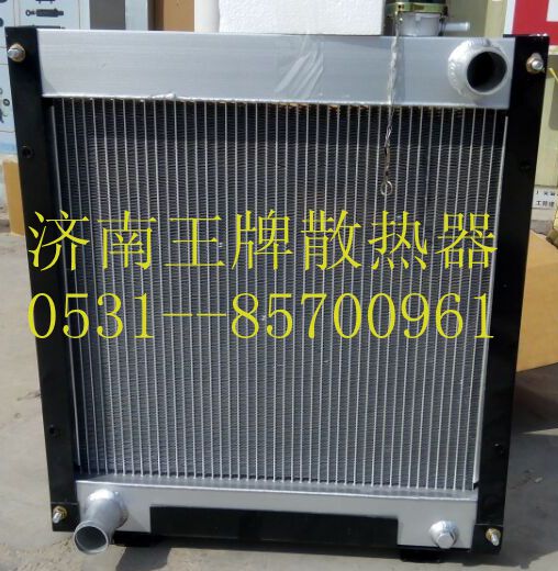 3500--2,散热器,济南王牌散热器有限公司