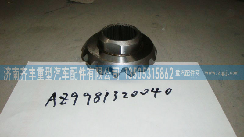 AZ9981320040,轮间半轴齿轮(AC16),济南铁鹿汽车零部件有限公司