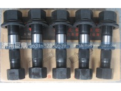 19912340123-双头,玉环航强富华桥柳特王加长滚花后轮胎螺丝,济南鑫巨鼎汽车配件有限公司