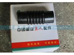 DZ9118530005,水箱下水管德龙F2000,济南约书亚汽车配件有限公司（原华鲁信业）