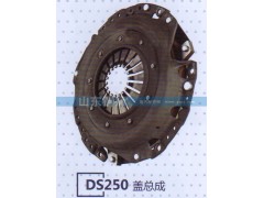 ,DS250盖总成,山东铜狮汽车零部件有限公司