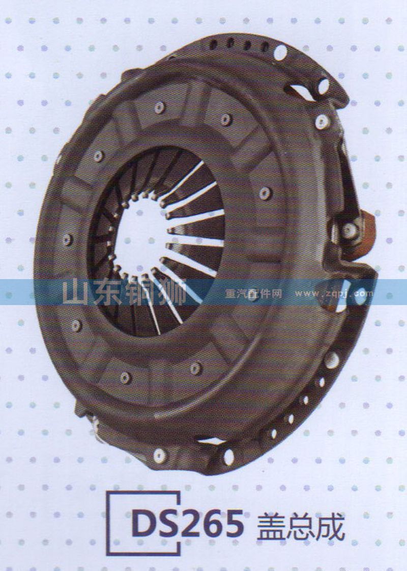 ,DS265盖总成,山东铜狮汽车零部件有限公司
