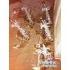 濟(jì)南展邦