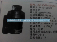 1124134000021,,金林助力转向泵销售中心