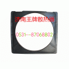 D488济南王牌散热器