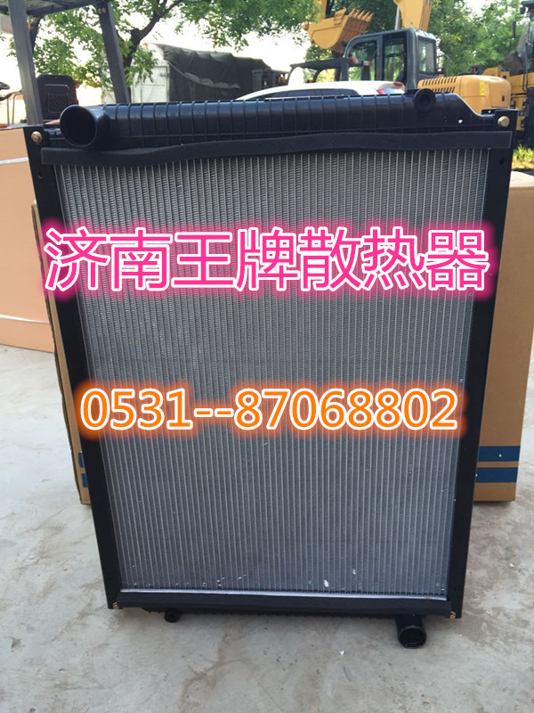 725W06100-0002,散热器总成,济南王牌散热器有限公司