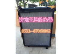725W06100-0002,散热器总成,济南王牌散热器有限公司