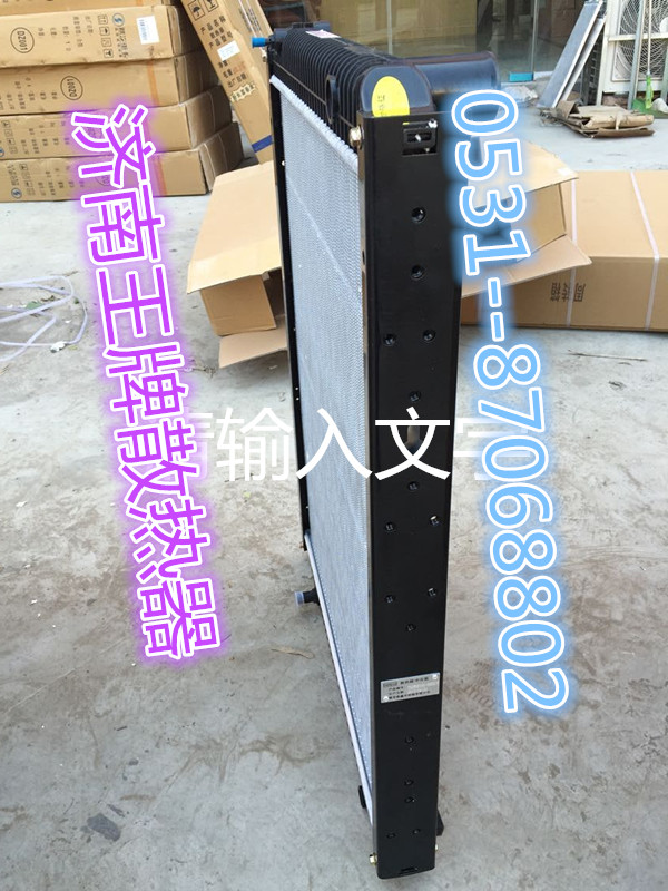 725W06100-0002,散热器总成,济南王牌散热器有限公司