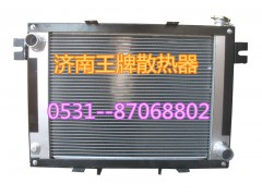 30HB,散热器总成,济南王牌散热器有限公司