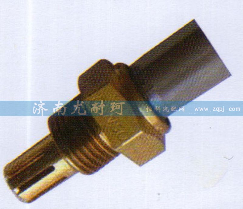 R61540090003 欧三进气温度传感器图1