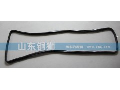 612630010065,,山东铜狮汽车零部件有限公司