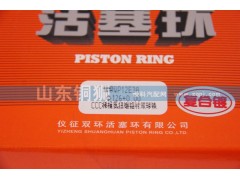 WP12E3A,活塞环,山东铜狮汽车零部件有限公司