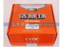 WD615欧II-D,活塞环,山东铜狮汽车零部件有限公司