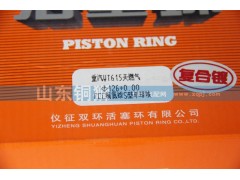 WT615天燃气,活塞环,山东铜狮汽车零部件有限公司
