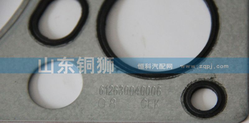 612630040006/1,,山东铜狮汽车零部件有限公司