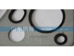 612630040006/1,,山东铜狮汽车零部件有限公司
