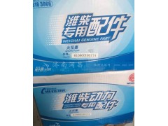 610800190174,火花塞 博世进口双铱金,济南路泰汽配有限公司