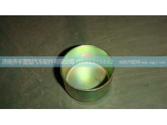 AZ91004430161,滑销盖（钳体侧）碟刹,济南铁鹿汽车零部件有限公司