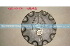 ,轮边盖板,济南铁鹿汽车零部件有限公司