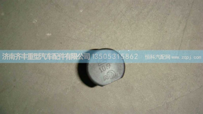 ,前轮螺栓０９盘式另一张图,济南铁鹿汽车零部件有限公司