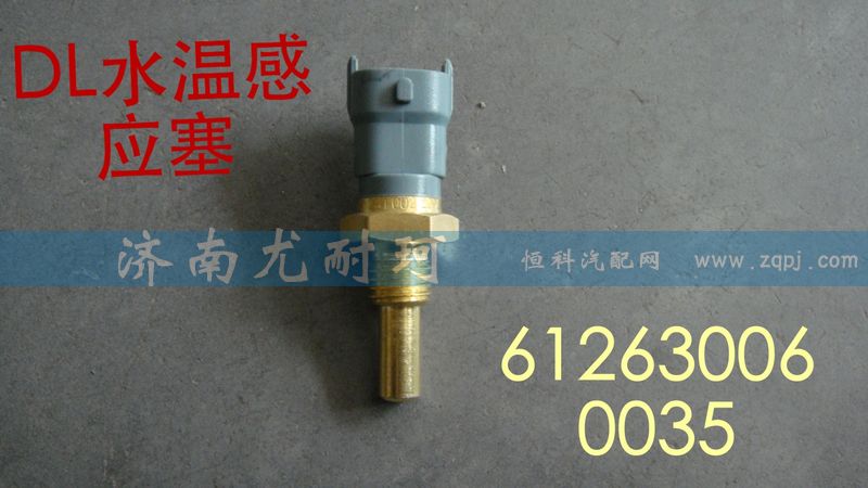 612630060035 德龙水温感应塞图1