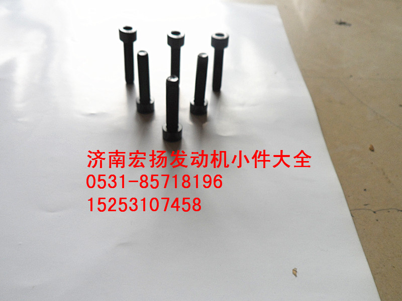 內(nèi)六角螺栓     90013550006/90013550006