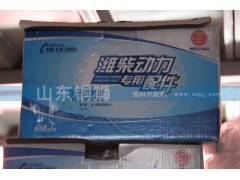 614080295A,潍柴动力专用配件燃油滤清器,山东铜狮汽车零部件有限公司