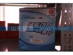 612600061603,潍柴动力专用配件水泵,山东铜狮汽车零部件有限公司