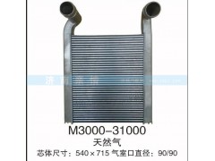 M3000-31000,,茌平双丰散热器有限公司驻济南办事处