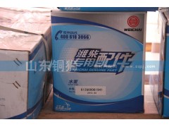 612600061941,潍柴动力专用配件水泵,山东铜狮汽车零部件有限公司