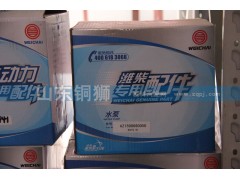 AZ500060050,潍柴动力专用配件水泵,山东铜狮汽车零部件有限公司