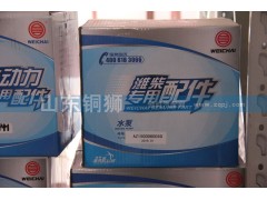 AZ500060050,潍柴动力专用配件水泵,山东铜狮汽车零部件有限公司
