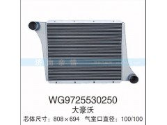 WG9725530250大豪沃,,茌平双丰散热器有限公司驻济南办事处