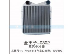 金王子-0302,,茌平双丰散热器有限公司驻济南办事处