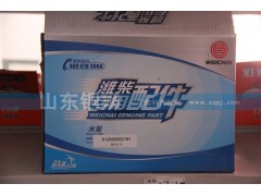 612600062191,潍柴专用配件水泵,山东铜狮汽车零部件有限公司
