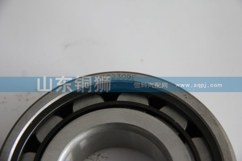 102309E,轴承,山东铜狮汽车零部件有限公司